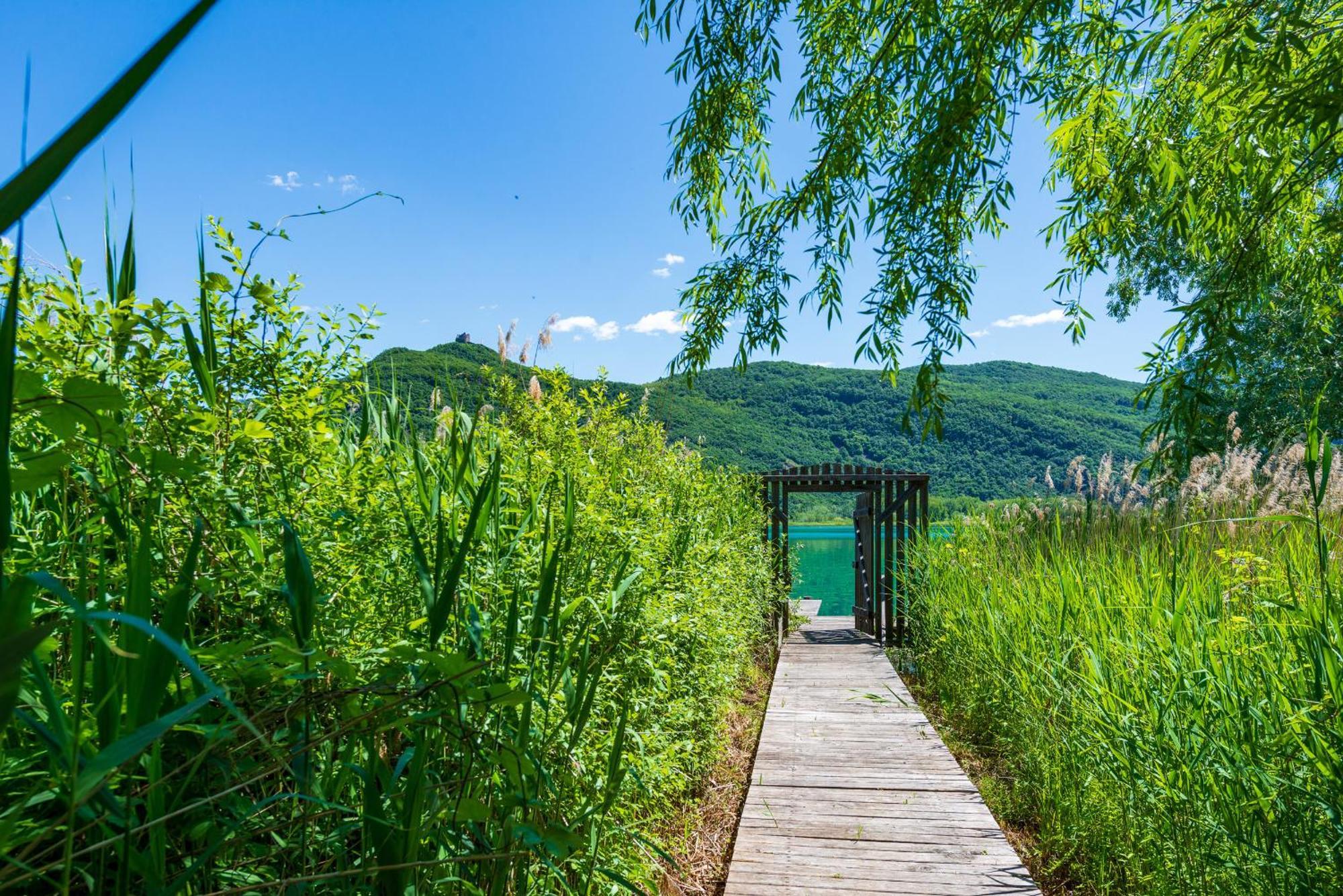 Ueberbacherhof Termeno Kültér fotó